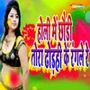 About Holi Me Chhaudi Tora Dhodhi Ke Rangale Re Song